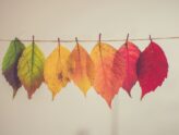 Buntes Programm im Herbst 🍂